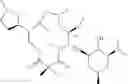Fig. 666 - C10-Cyclic Substituted 13-Membered Macrolides and Uses Thereof
