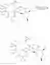 Fig. 819 - C10-Cyclic Substituted 13-Membered Macrolides and Uses Thereof