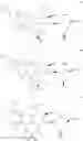 Fig. 93 - C10-Cyclic Substituted 13-Membered Macrolides and Uses Thereof