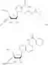 Fig. 11 - PRODUCTION OF BRIDGED ARTIFICIAL NUCLEOSIDES