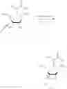 Fig. 36 - PRODUCTION OF BRIDGED ARTIFICIAL NUCLEOSIDES