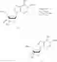 Fig. 63 - PRODUCTION OF BRIDGED ARTIFICIAL NUCLEOSIDES