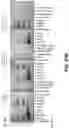 Fig. 41 - Process technology for biological product manufacturing and downstream purification