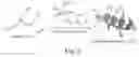 Fig. 07 - PROLINE-LOCKED STAPLED PEPTIDES AND USES THEREOF