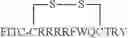 Fig. 40 - CELL PENETRATING PEPTIDES AND METHODS OF MAKING AND USING THEREOF