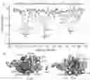 Fig. 01 - NOVEL LYSSA VIRUS PHOSPHOPROTEINS