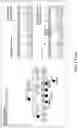 Fig. 06 - METHODS OF DETECTING AND TREATING HEREDITARY SPASTIC PARAPLEGIA