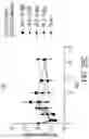 Fig. 48 - Methods of using interleukin-2 agents