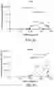 Fig. 04 - Circular RNA compositions and methods