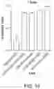 Fig. 37 - Circular RNA compositions and methods