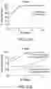 Fig. 44 - Circular RNA compositions and methods
