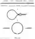 Fig. 55 - Circular RNA compositions and methods