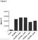 Fig. 03 - Interleukin-2 receptor (IL2R) and interleukin-2 (IL2) variants for specific activation of immune effector cells