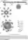 Fig. 01 - FERRITIN NANOCAGE FOR MULTI-DISPLAYING TRAIL TRIMER AND CANCER-TARGETING PEPTIDE AND USE THEREOF AS ANTICANCER AGENT