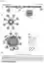 Fig. 02 - FERRITIN NANOCAGE FOR MULTI-DISPLAYING TRAIL TRIMER AND CANCER-TARGETING PEPTIDE AND USE THEREOF AS ANTICANCER AGENT