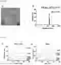 Fig. 03 - FERRITIN NANOCAGE FOR MULTI-DISPLAYING TRAIL TRIMER AND CANCER-TARGETING PEPTIDE AND USE THEREOF AS ANTICANCER AGENT