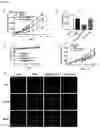 Fig. 08 - FERRITIN NANOCAGE FOR MULTI-DISPLAYING TRAIL TRIMER AND CANCER-TARGETING PEPTIDE AND USE THEREOF AS ANTICANCER AGENT