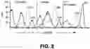 Fig. 03 - Methods and Compositions for Treating Melanoma