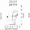 Fig. 35 - Compositions for increasing half-life of a therapeutic agent in livestock animals and methods of use