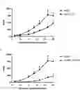 Fig. 01 - CHIMERIC PROTEINS AND CHIMERIC PROTEIN COMPLEXES DIRECTED TO FMS-LIKE TYROSINE KINASE 3 (FLT3)
