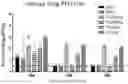 Fig. 01 - Binding Molecule Having Neutralizing Activity Against Middle East Respiratory Syndrome-Coronavirus