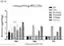 Fig. 05 - Binding Molecule Having Neutralizing Activity Against Middle East Respiratory Syndrome-Coronavirus
