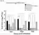 Fig. 07 - Binding Molecule Having Neutralizing Activity Against Middle East Respiratory Syndrome-Coronavirus