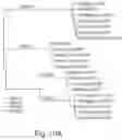 Fig. 19 - Antibody molecules to dengue virus and uses thereof