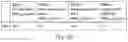 Fig. 31 - Antibody molecules to dengue virus and uses thereof