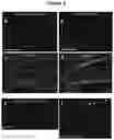 Fig. 06 - Antibodies specific for hyperphosphorylated tau and methods of use thereof
