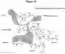 Fig. 22 - Antibodies specific for hyperphosphorylated tau and methods of use thereof