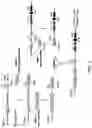 Fig. 02 - RESTRICTED IMMUNOGLOBULIN HEAVY CHAIN MICE