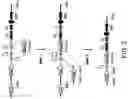 Fig. 03 - RESTRICTED IMMUNOGLOBULIN HEAVY CHAIN MICE