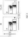 Fig. 04 - RESTRICTED IMMUNOGLOBULIN HEAVY CHAIN MICE