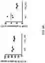 Fig. 05 - RESTRICTED IMMUNOGLOBULIN HEAVY CHAIN MICE