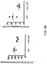 Fig. 06 - RESTRICTED IMMUNOGLOBULIN HEAVY CHAIN MICE
