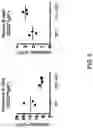 Fig. 11 - RESTRICTED IMMUNOGLOBULIN HEAVY CHAIN MICE