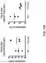 Fig. 14 - RESTRICTED IMMUNOGLOBULIN HEAVY CHAIN MICE