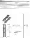 Fig. 01 - TWO CHIMERIC ANTIGEN RECEPTORS SPECIFICALLY BINDING CD19 AND IGKAPPA
