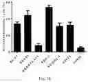 Fig. 05 - TWO CHIMERIC ANTIGEN RECEPTORS SPECIFICALLY BINDING CD19 AND IGKAPPA