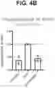 Fig. 07 - ANTI-TREM2 ANTIBODIES AND METHODS OF USE THEREOF