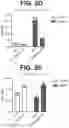 Fig. 10 - ANTI-TREM2 ANTIBODIES AND METHODS OF USE THEREOF