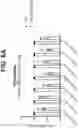 Fig. 12 - ANTI-TREM2 ANTIBODIES AND METHODS OF USE THEREOF