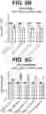 Fig. 13 - ANTI-TREM2 ANTIBODIES AND METHODS OF USE THEREOF