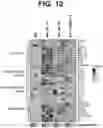 Fig. 22 - ANTI-TREM2 ANTIBODIES AND METHODS OF USE THEREOF