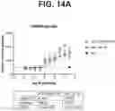 Fig. 26 - ANTI-TREM2 ANTIBODIES AND METHODS OF USE THEREOF