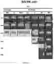 Fig. 09 - CD19 ANTIBODIES AND METHODS OF USING THE SAME