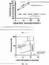 Fig. 20 - CD19 ANTIBODIES AND METHODS OF USING THE SAME