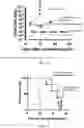 Fig. 22 - CD19 ANTIBODIES AND METHODS OF USING THE SAME