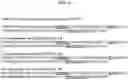 Fig. 28 - CD19 ANTIBODIES AND METHODS OF USING THE SAME